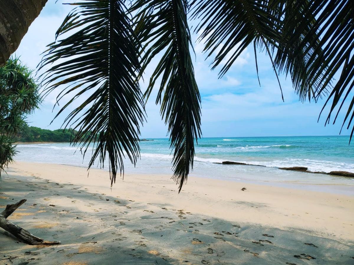 Beach Vibes