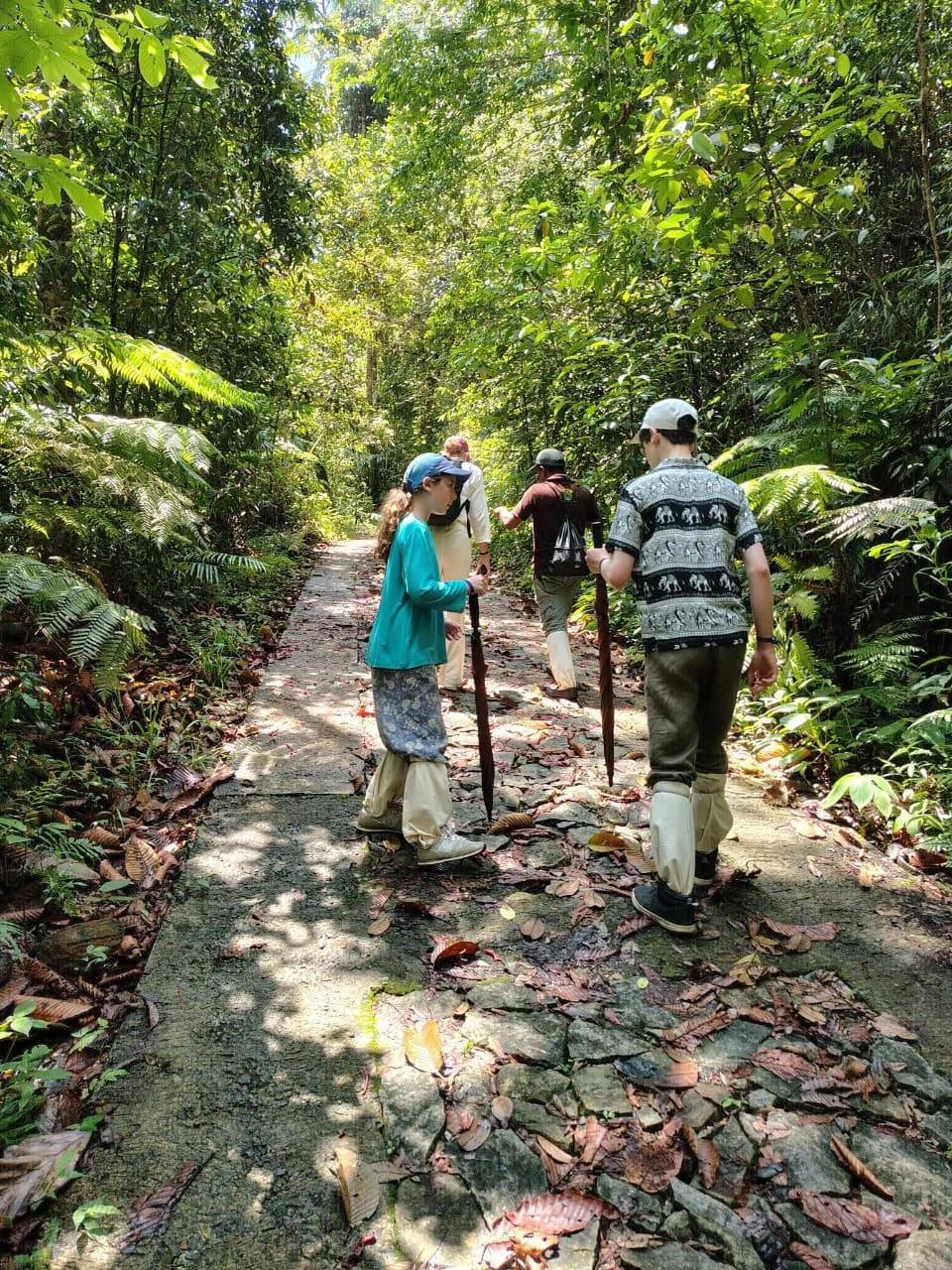 Sinharaja Eco Trek
