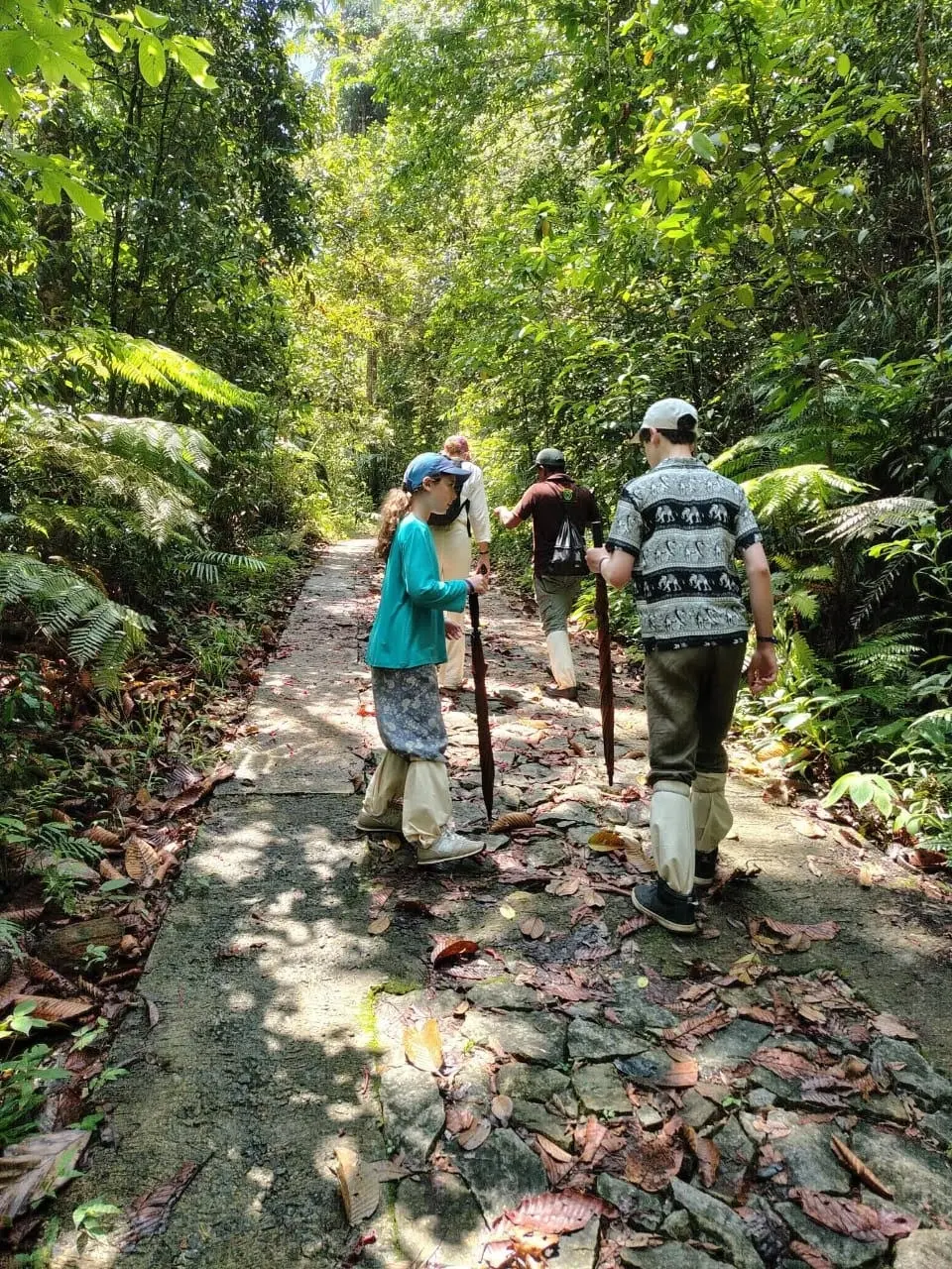Sinharaja Eco Trek